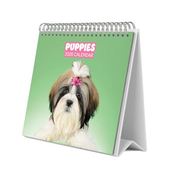 Dogs - Simon K. & Greg C. Desk Calendar 2026