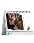 SPCA Cat Desk Calendar 2027