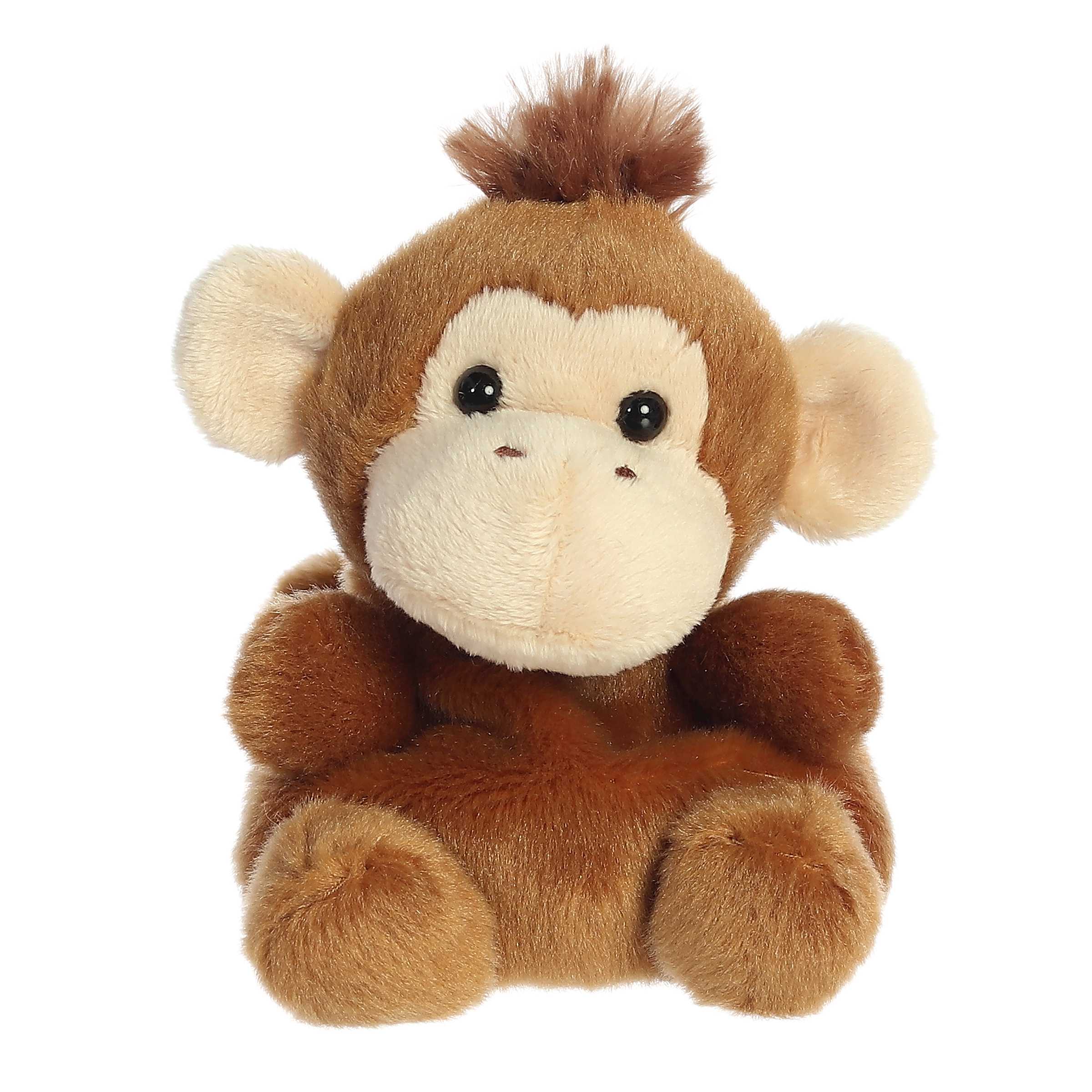Boomer Monkey 5 Inches | Bookazine HK
