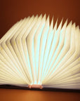 Butterfly Book Lamp - Red With Gold Print