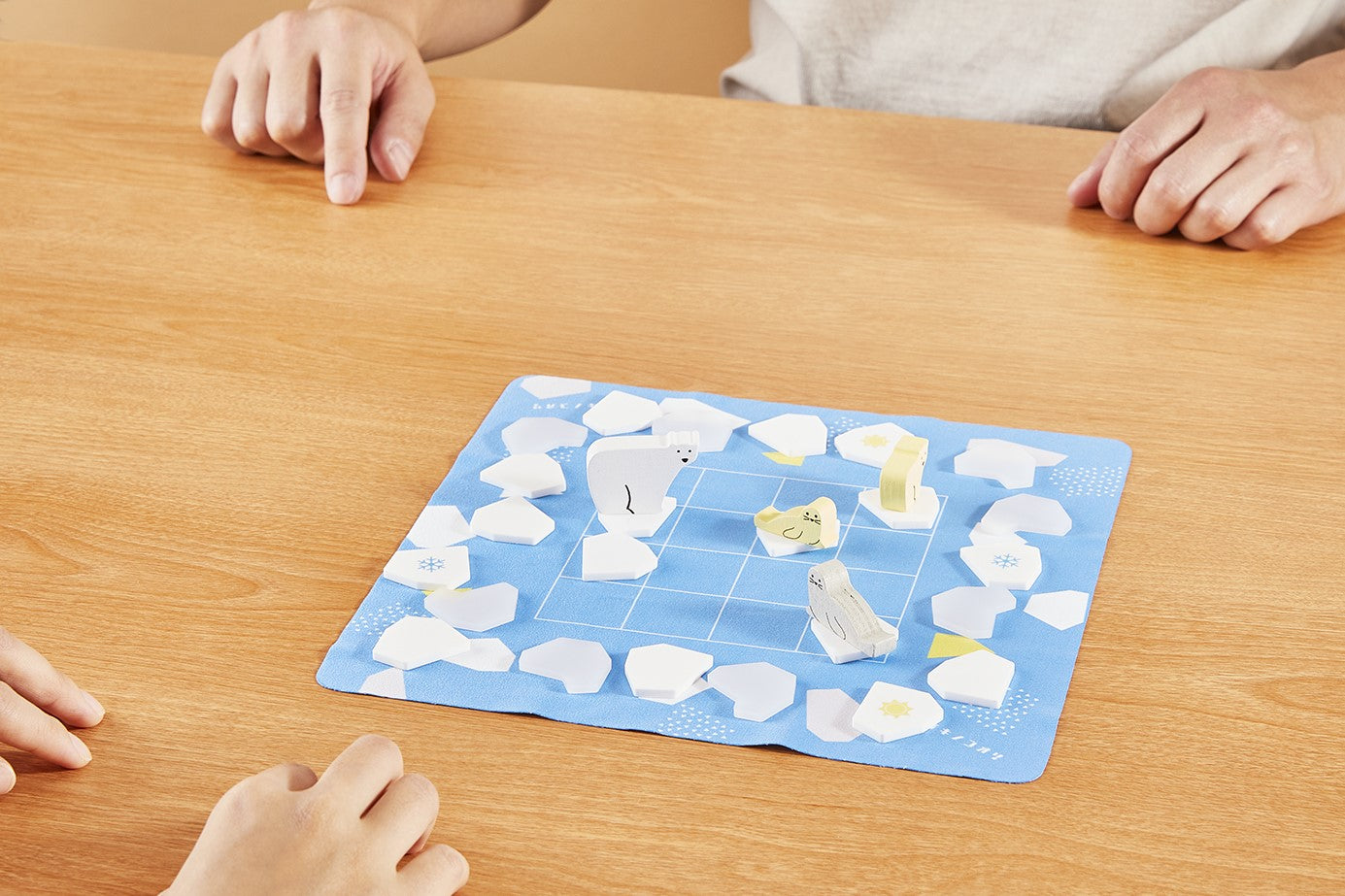 Polar Bear On Ice | Bookazine HK