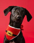 Pet Christmas Bandana