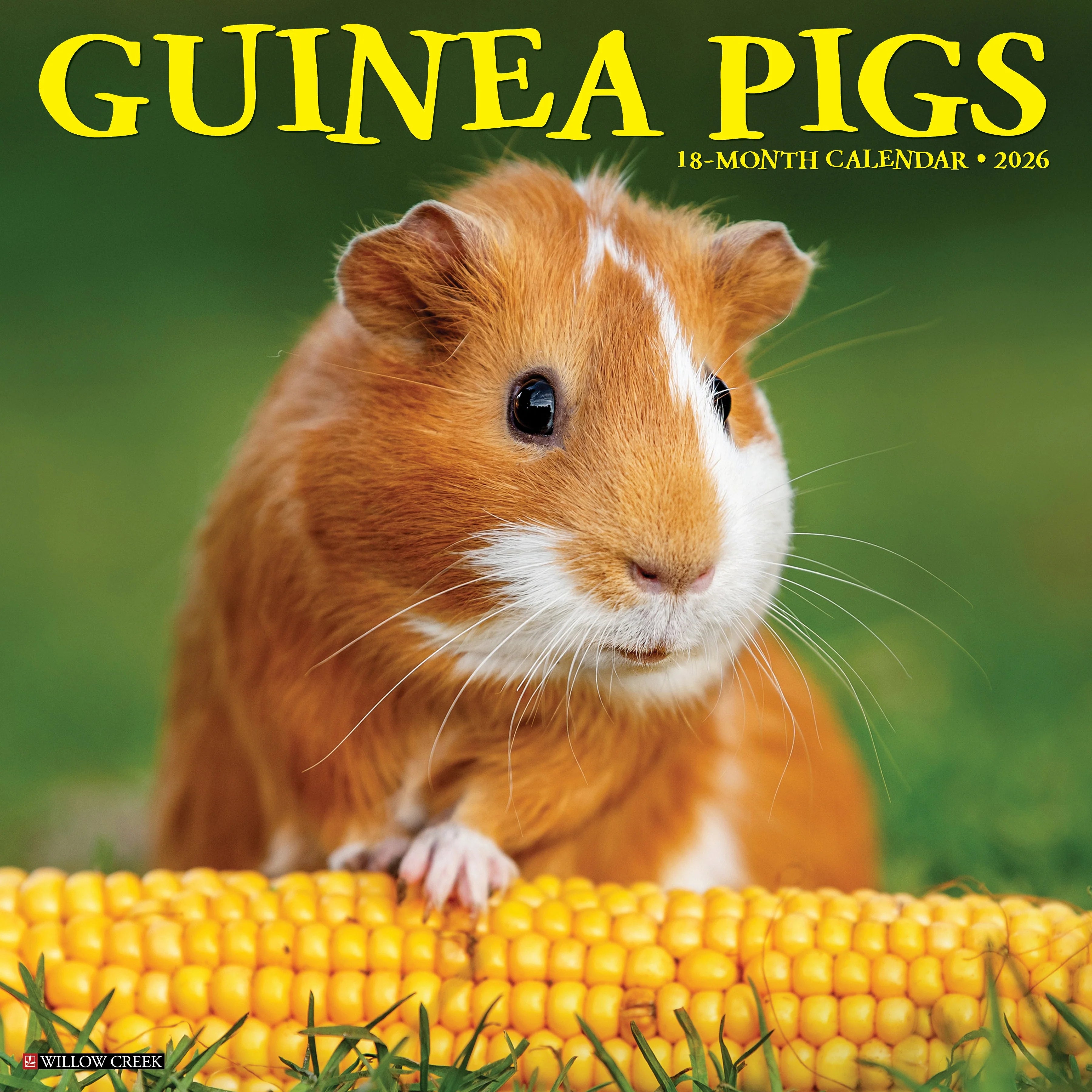 Guinea Pigs Wall Calendar 2026