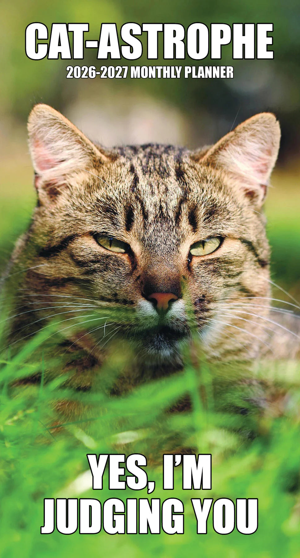 Cat-Astrophe 2Yr Pocket Planner