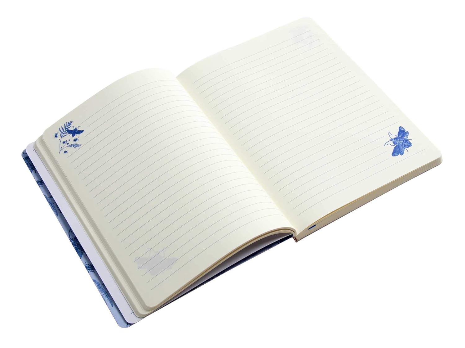 Art of Nature Flight of Beetles Notebook