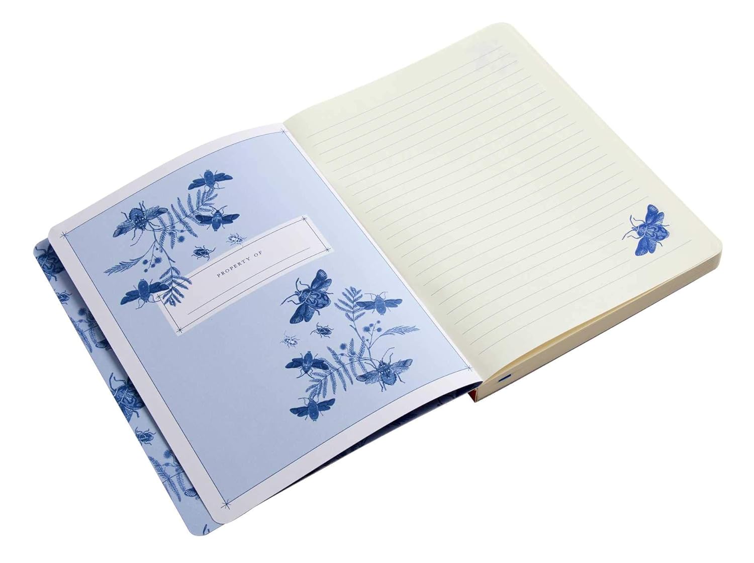 Art of Nature Flight of Beetles Notebook