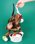 Claypot Rice Dog Toy
