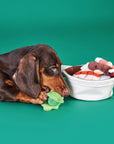 Claypot Rice Dog Toy | Bookazine HK
