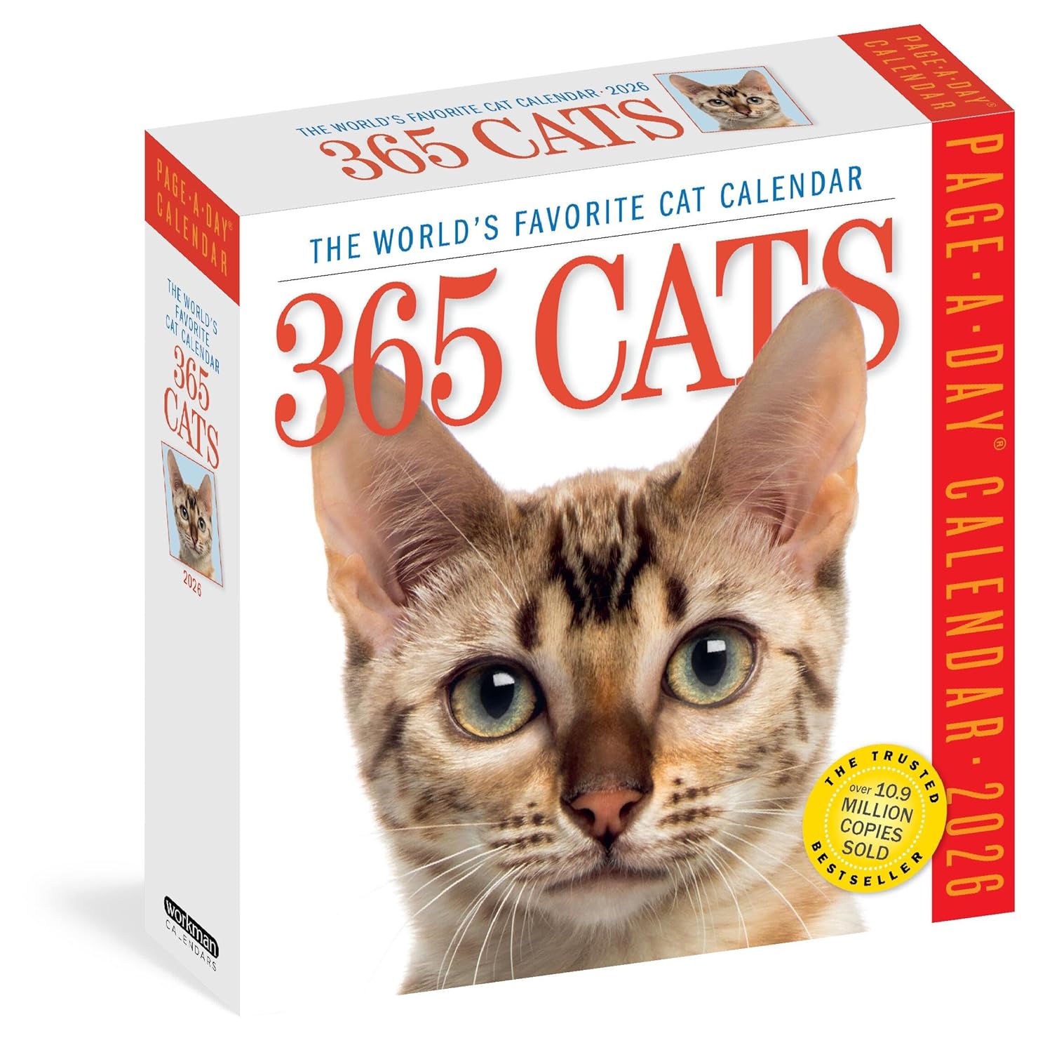 365 Cats Box Calendar 2026 | Bookazine HK