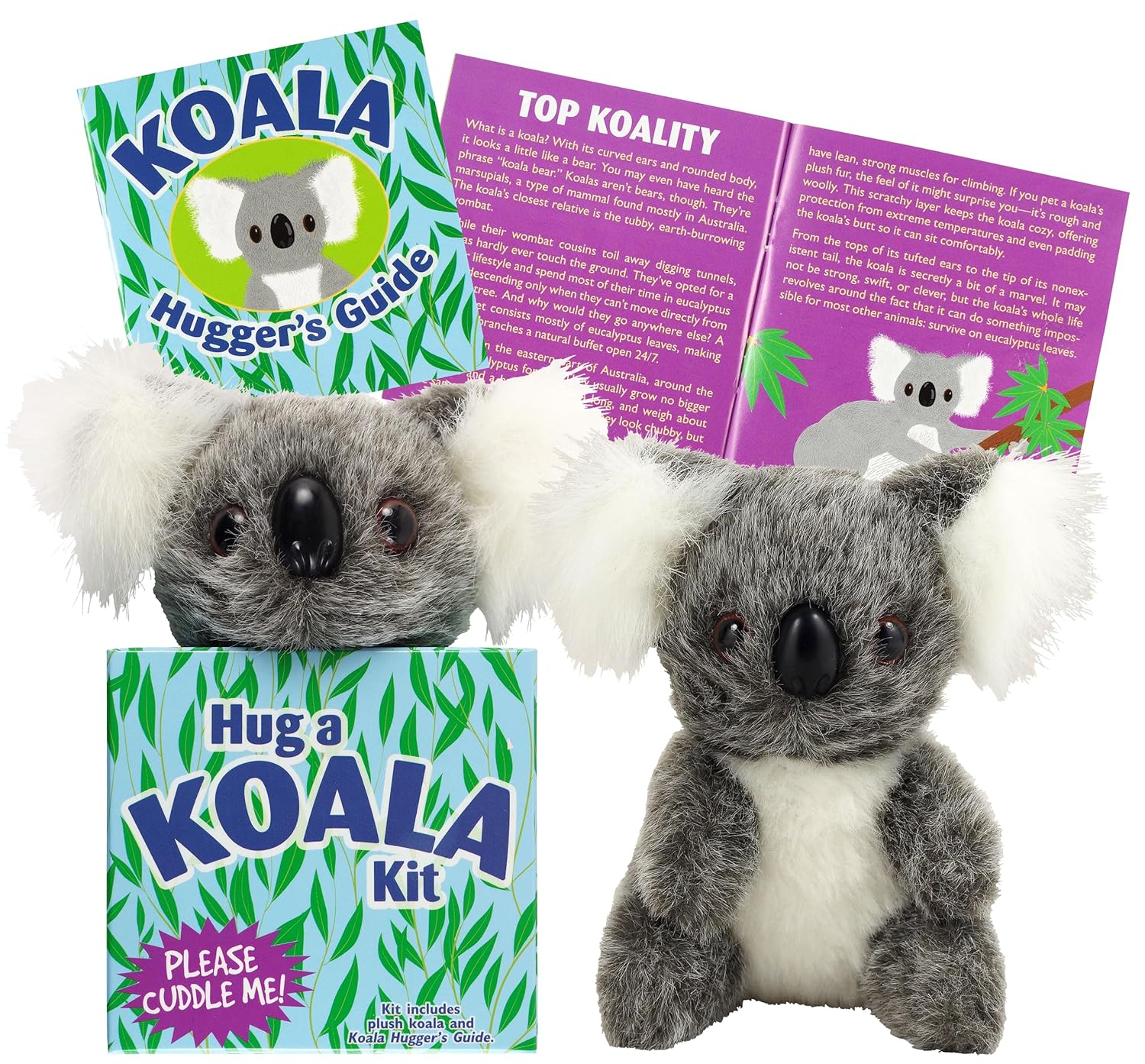 Hug A Koala Kit | Bookazine HK