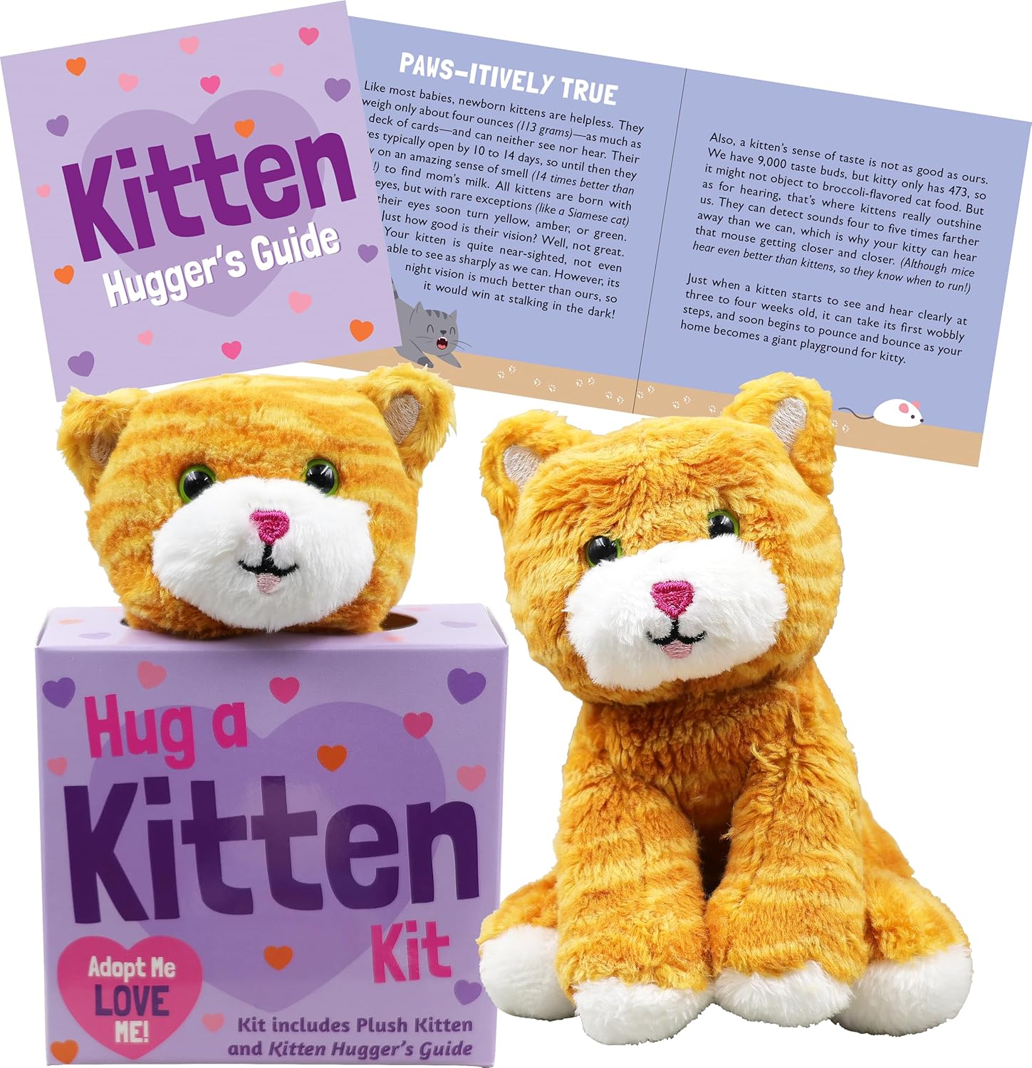 Hug A Kitten Kit | Bookazine HK
