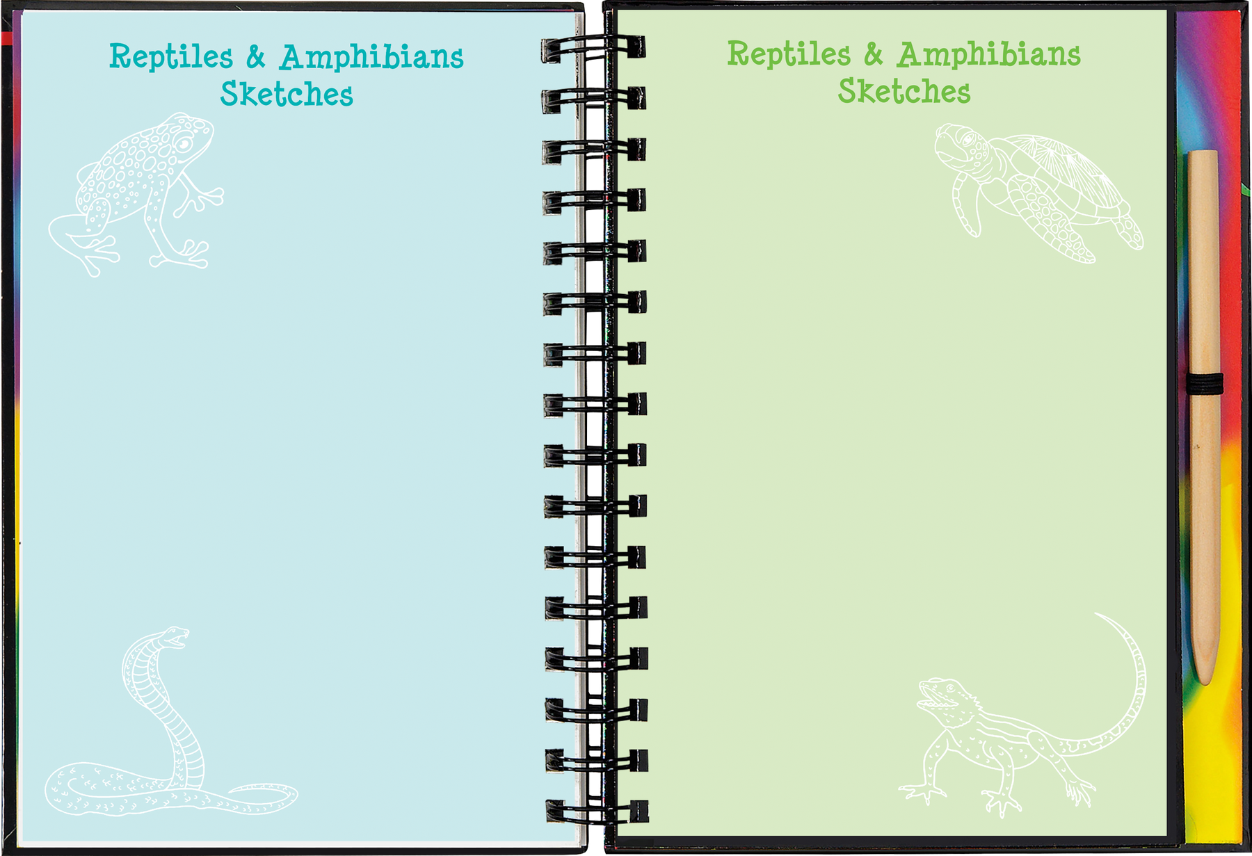 scratch-sketch-reptiles-amphibians