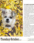 365 Dogs 2027 Box Calendar