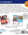 365 Dogs 2027 Box Calendar