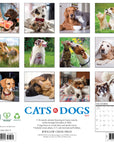 Cats & Dogs 2027 Wall Calendar