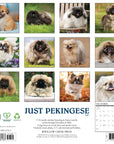 Just Pekingese 2027 Wall Calendar