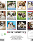 Shih Tzu Puppies 2027 Wall Calendar