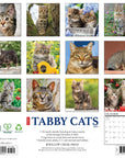 Tabby Cats 2027 Wall Calendar