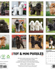 Just Toy & Miniature Poodles 2027 Wall Calendar