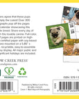 Just Pugs 2027 Box Calendar