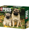 Just Pugs 2027 Box Calendar