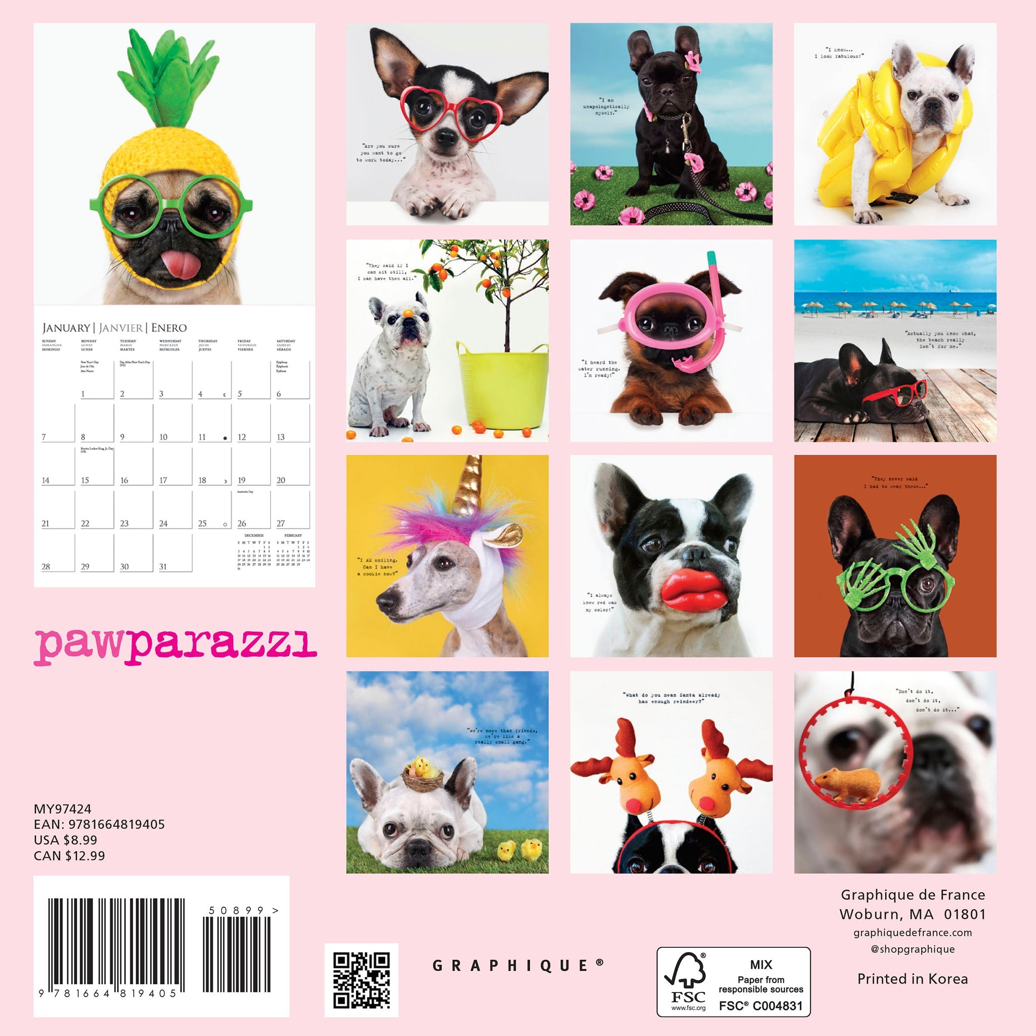 Pawparazzi 2024 Mini Wall Calendar Bookazine HK