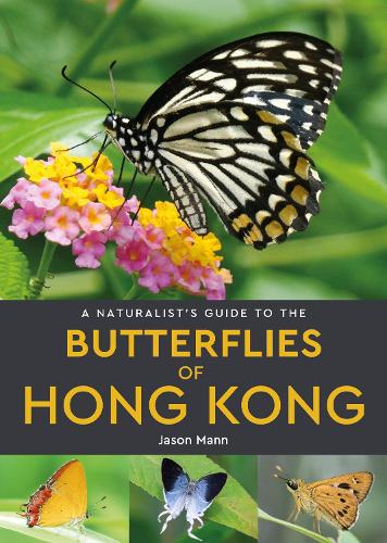 蝶 香港 図鑑 洋書 バタフライ Butterflies Butterfly - 昆虫
