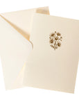 Blank Boxed Cards Chamomile La Petite Presse 10Ct | Bookazine HK