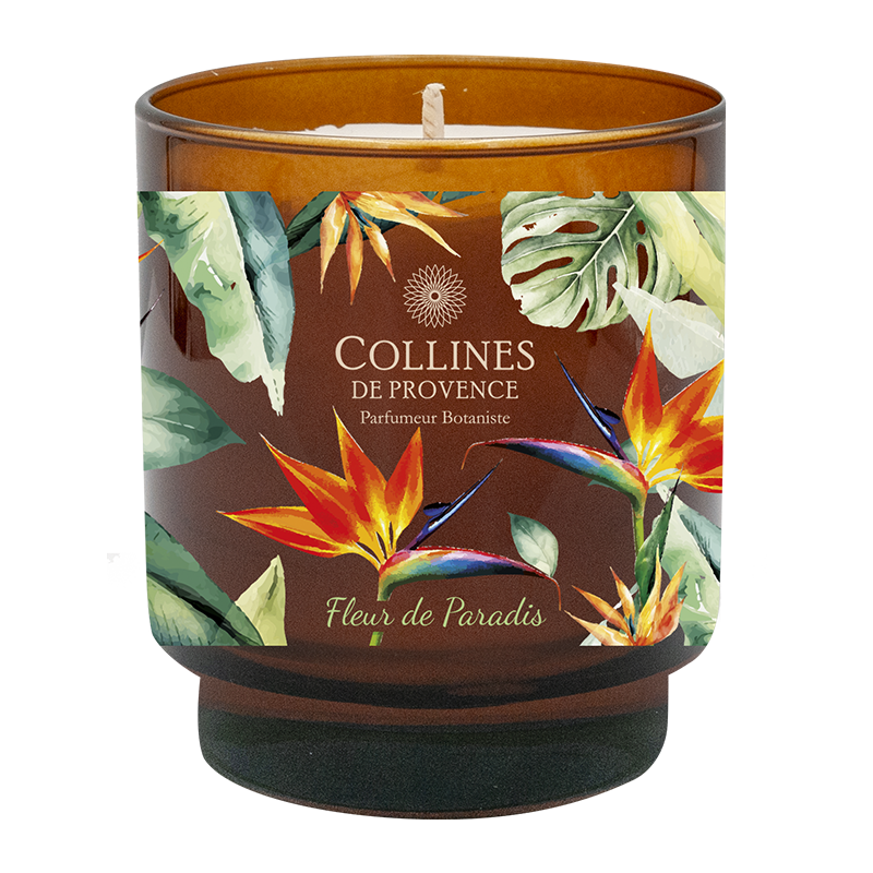 Fraîcheur Végétale Paradise Flower Wax Candle  | Bookazine HK