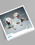 Dog Monthly Wall Calendar 2026