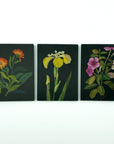 gnt-deluxe-mini-bookset-delany-florals