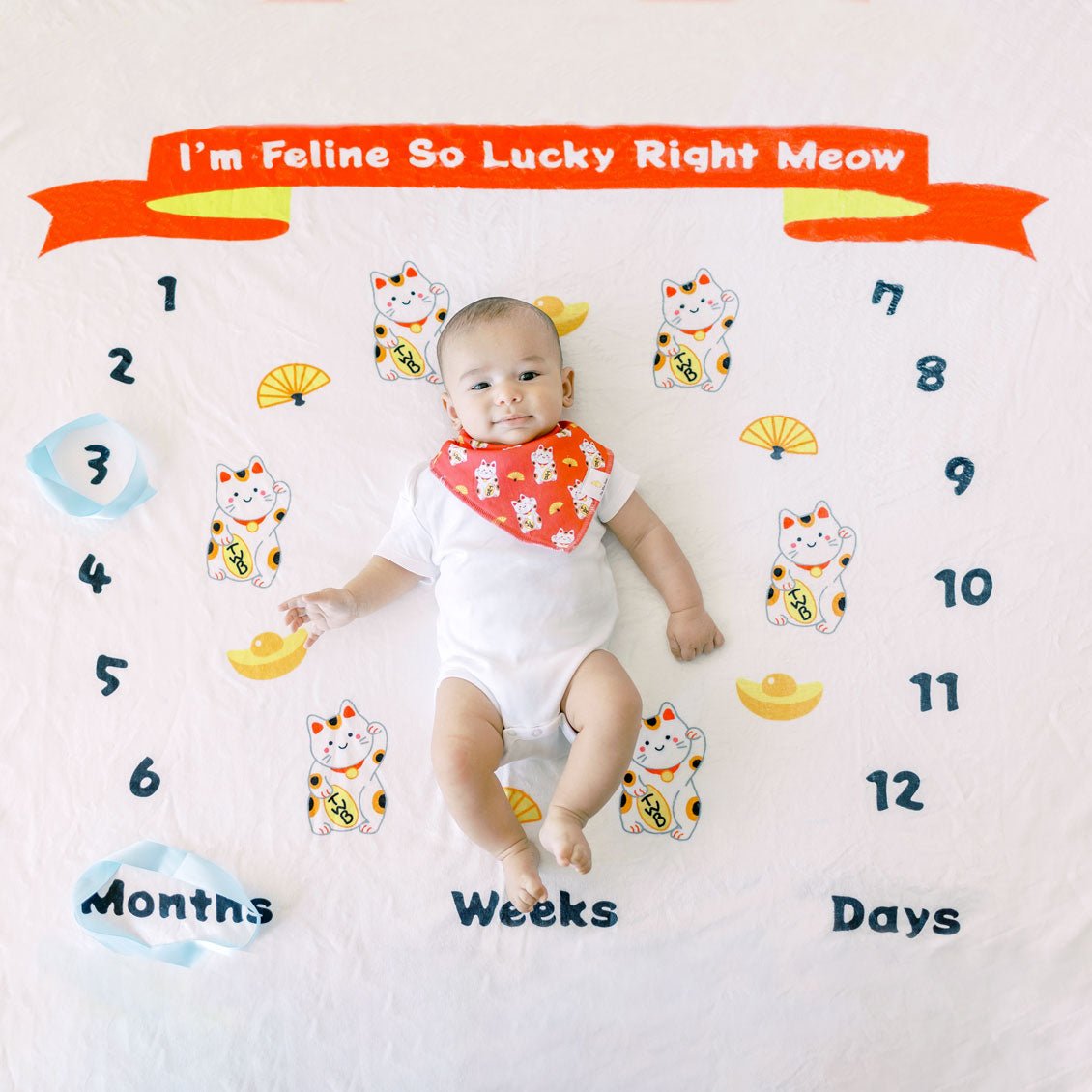 Im Feline So Lucky Right Meow Milestone Blanket