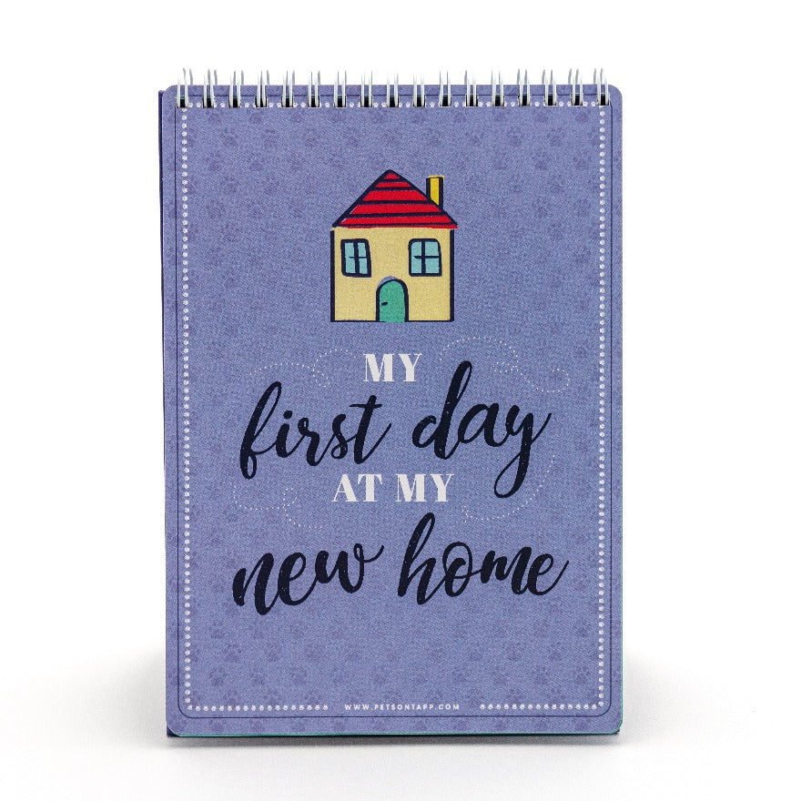 MilestoneCards my first day