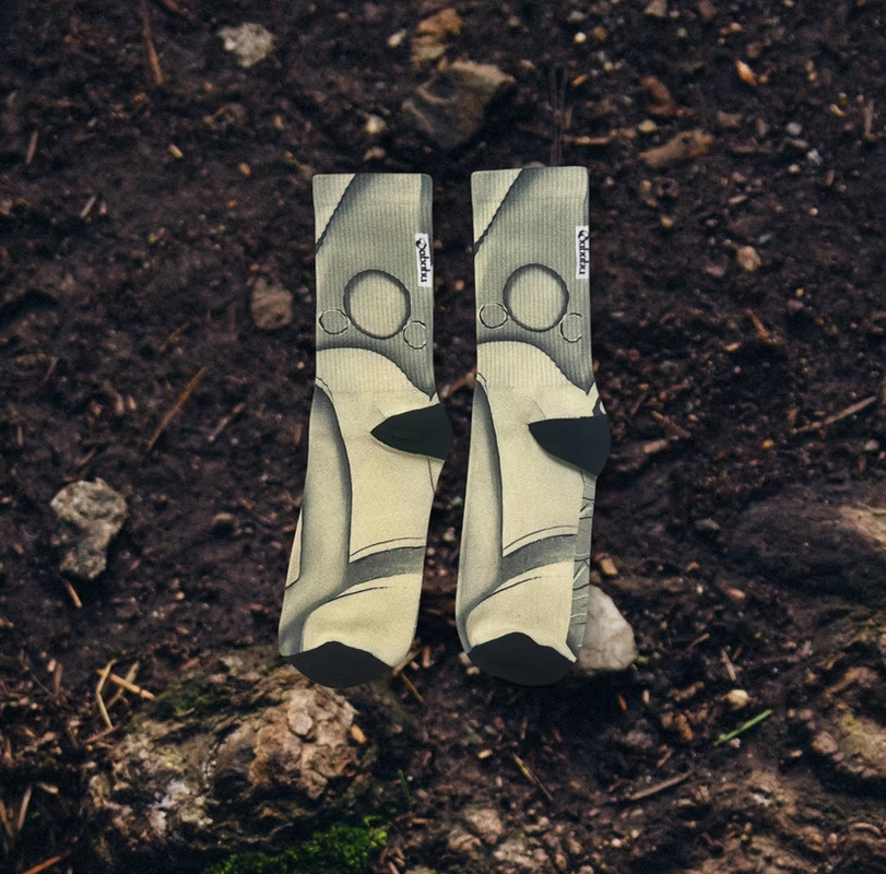 Beige and Alpine Socks | Bookazine HK