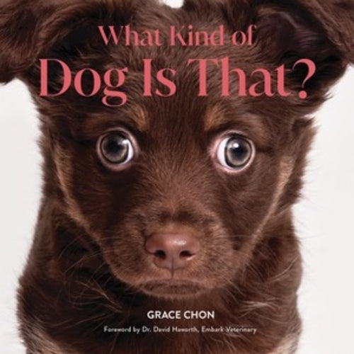 What Kind of Dog Is That? – Bookazine - Main Image