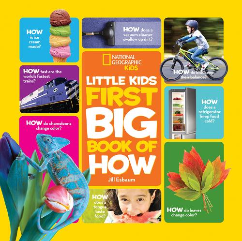 Little Kids First Big Book of How (First Big Book)