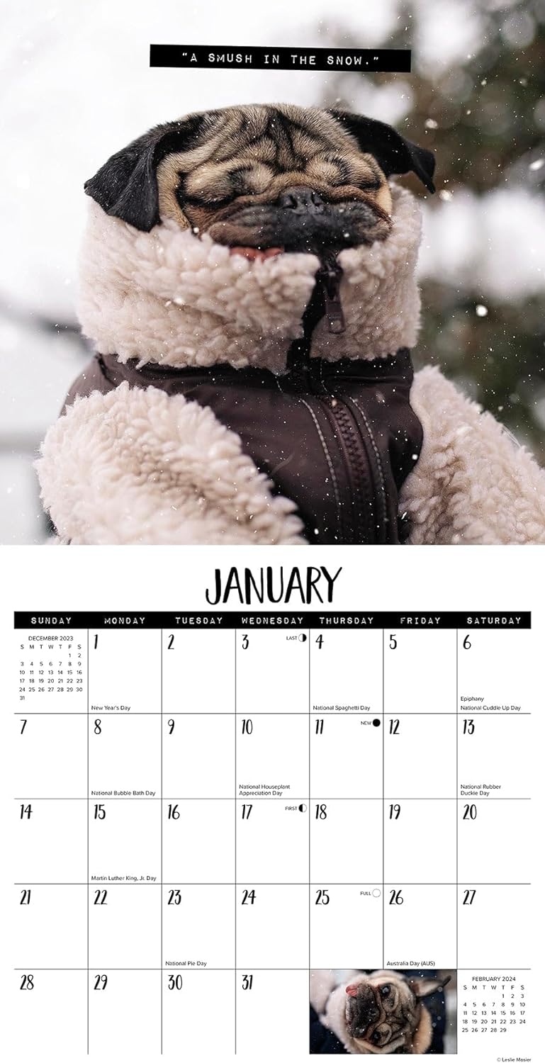 Doug The Pug Monthly 2024 Wall Calendar | Bookazine HK