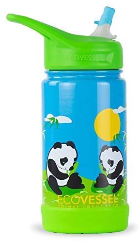 Ecovessel 12oz Frost Insulated Stainless Steel Kids' Water Bottle