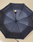 Stained Glass Umbrella - Bookazine