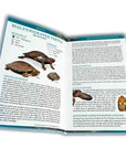 A Field Guide to the Turtles of Hong Kong