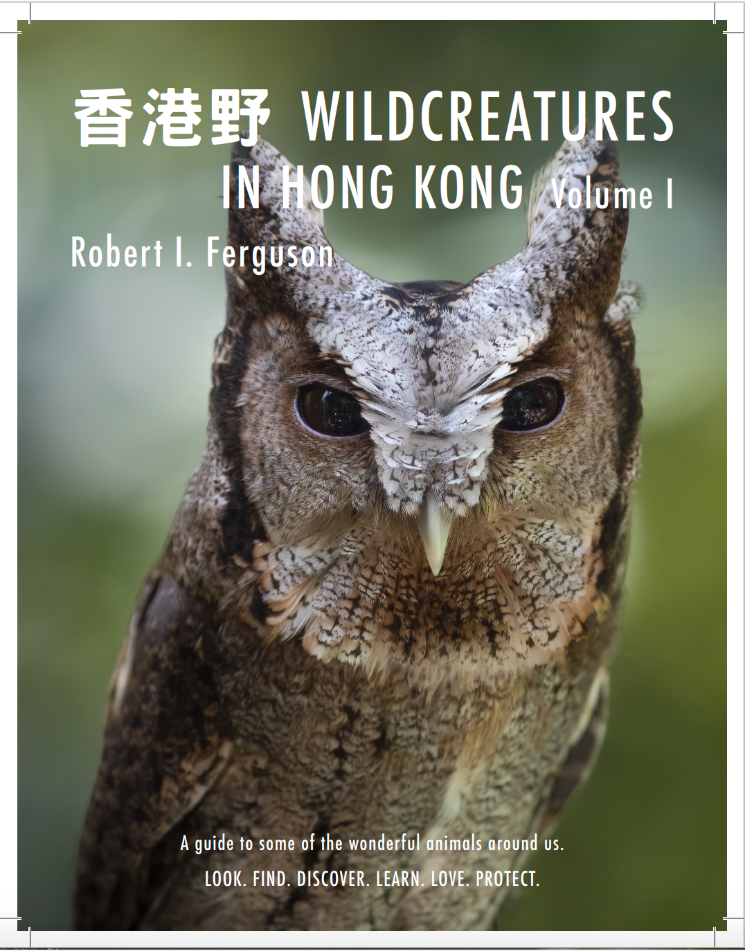 Wildcreatures In Hong Kong