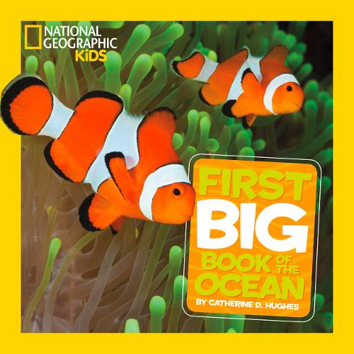 Little Kids First Big Book of the Ocean (First Big Book)