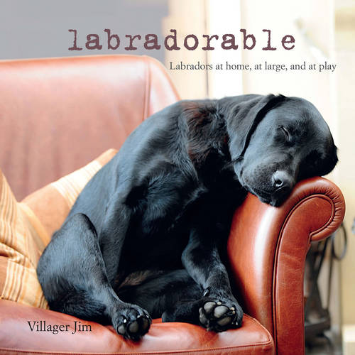 Labradorable: Labradors at Home, at Large, and at Play