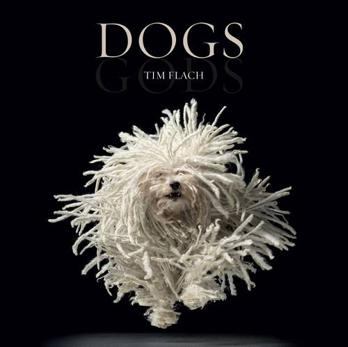 Dogs / Gods: Gods