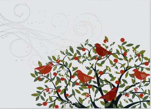 Deluxe Boxed Christmas Cards: Festive Birds