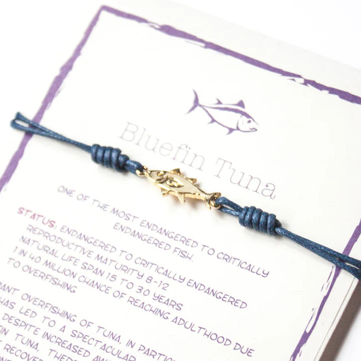 Bluefin Tuna Gaia Bracelet | Bookazine HK