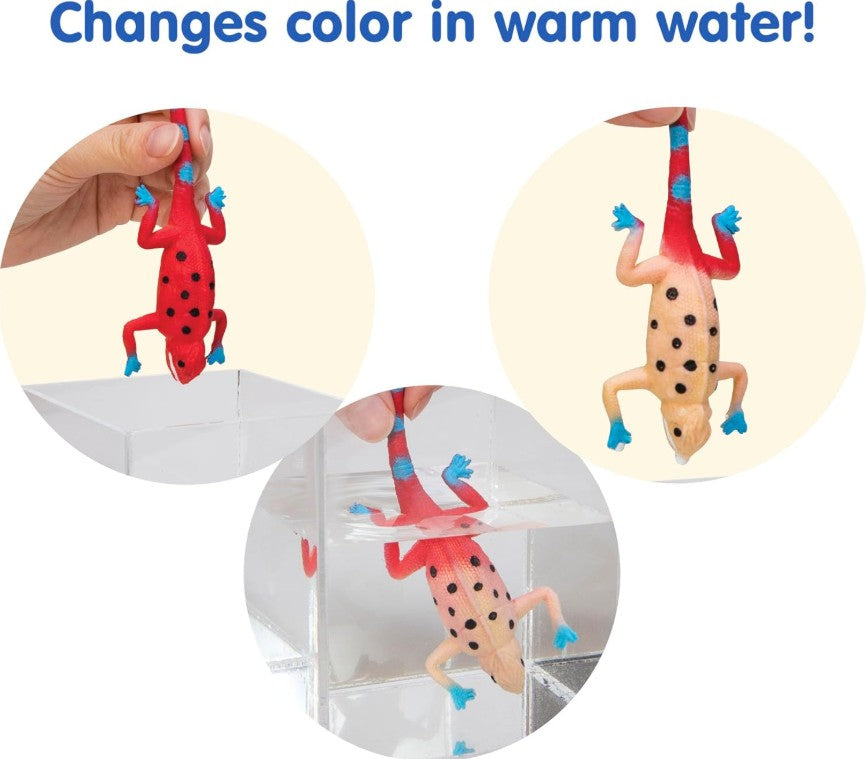Color Change Revealeons | Bookazine HK
