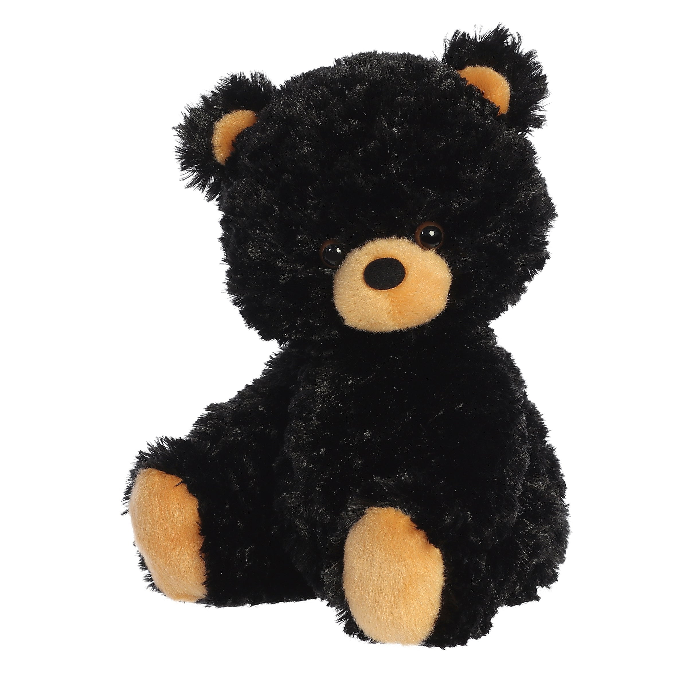 Black Bear Cub 13 Inch | Bookazine HK