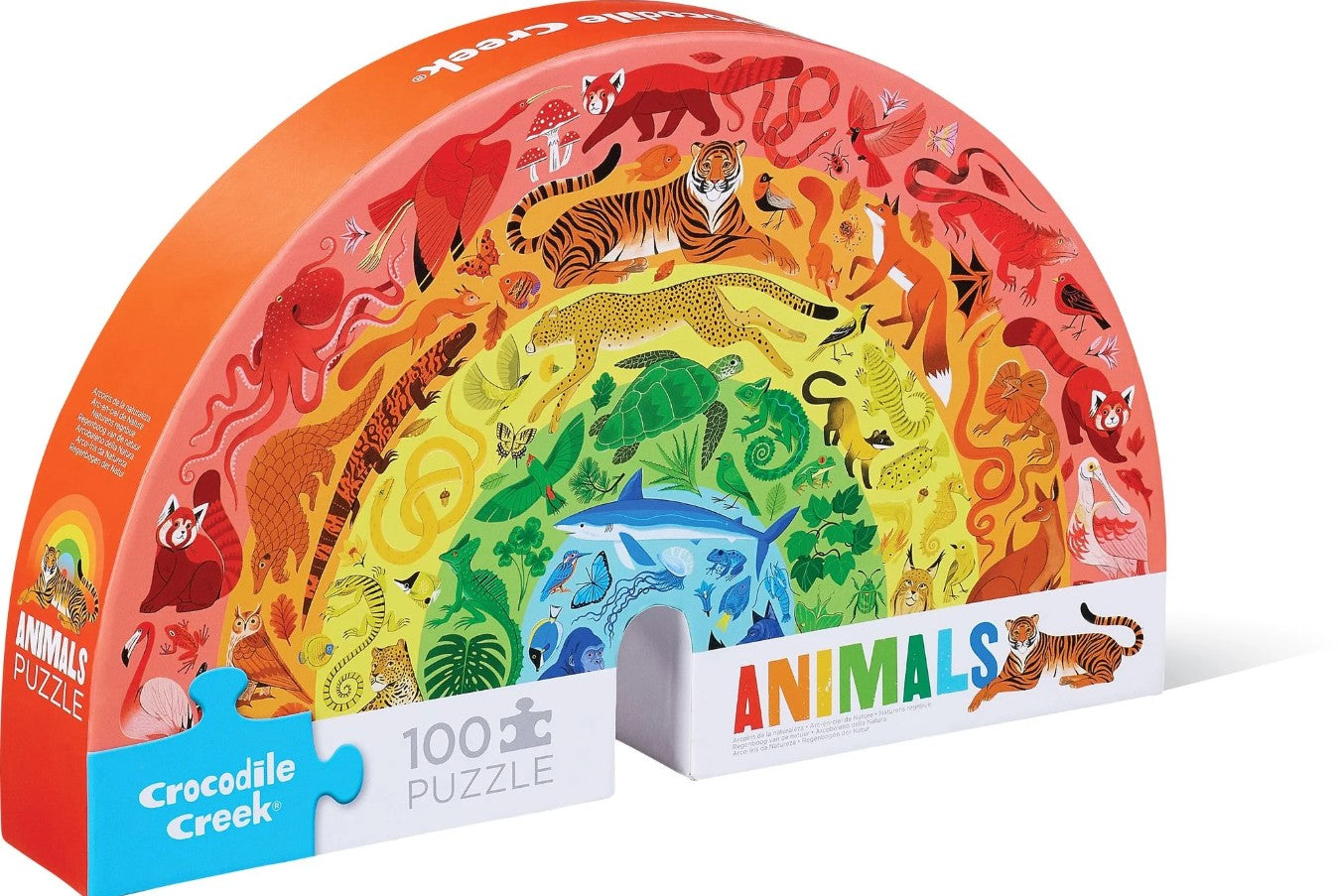 Rainbow Puzzle 100 Pcs
