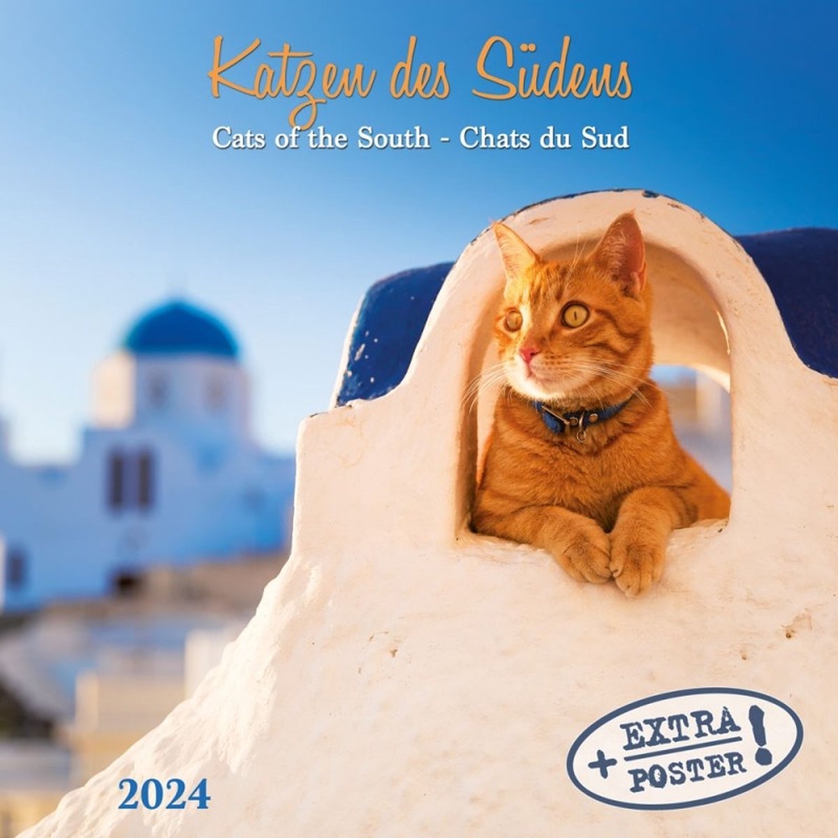 Cats Of The South 2024 Wall Calendar Bookazine HK   1200x1200 